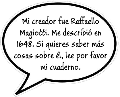 Mi creador fue Raffaello Magiotti