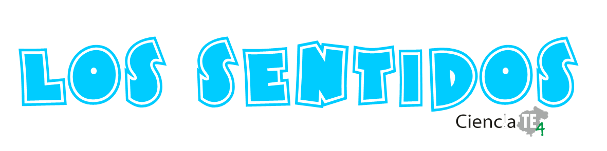 Usa tus sentidos para conocer el agua