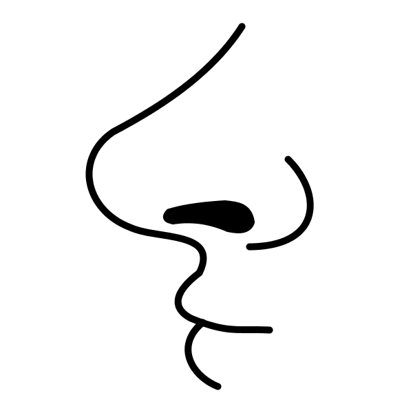 Pulsa en la nariz para continuar